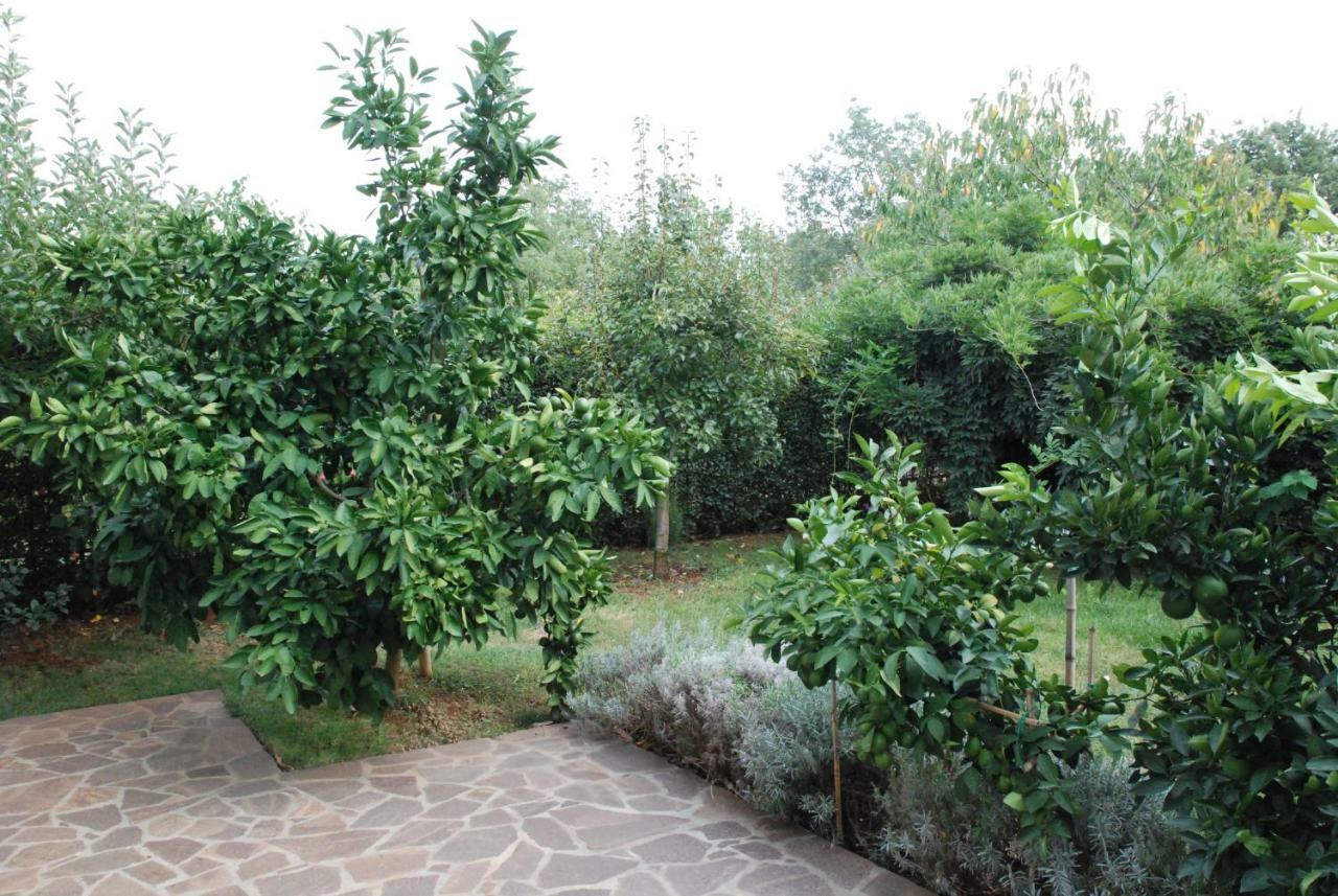 Apartmani Radin Rosini Esterno foto
